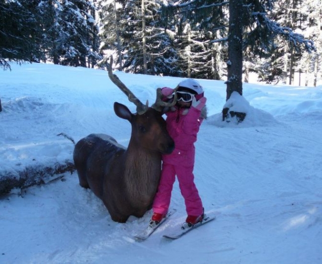 Ski pour toute la famille a la Tania et Courchevel